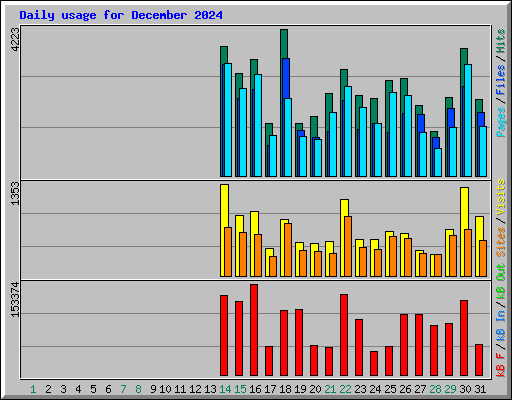 Daily usage for December 2024