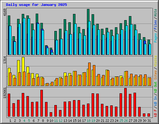 Daily usage for January 2025