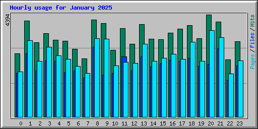 Hourly usage for January 2025