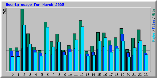 Hourly usage for March 2025