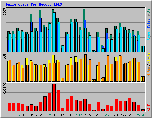 Daily usage for August 2025