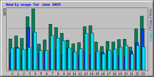 Hourly usage for June 2025