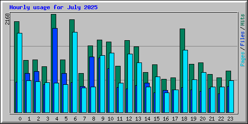 Hourly usage for July 2025
