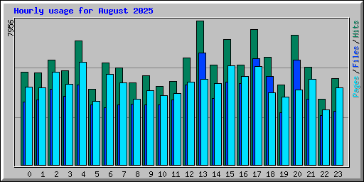 Hourly usage for August 2025